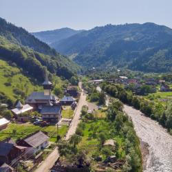 上维谢乌 46家旅馆
