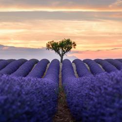 马诺斯克 70家自助式住宿