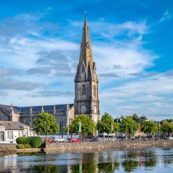 巴利纳 9家宠物友好酒店