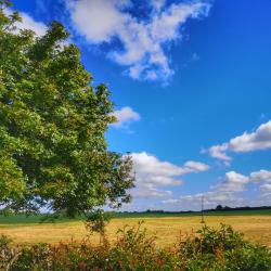 纳斯 19家带停车场的酒店