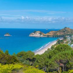 科罗曼德镇 4家带泳池的酒店