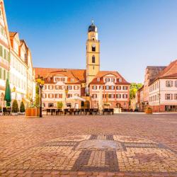 巴特梅根特海姆 4家Spa酒店