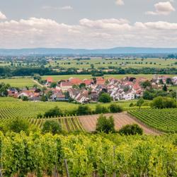 代德斯海姆 34家住宿