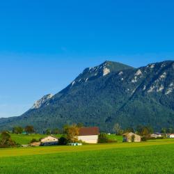 因泽尔 11家木屋