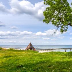 科瑟罗 47家别墅