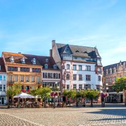 朗道因德普法尔茨 41家住宿