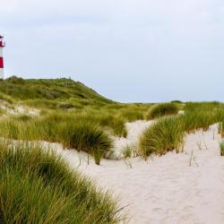 里斯特 84家低价酒店