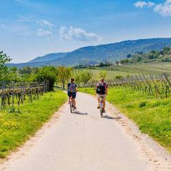 圣马丁 48家住宿