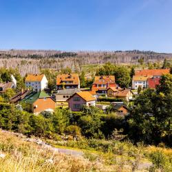 施尔奇 77家滑雪度假村