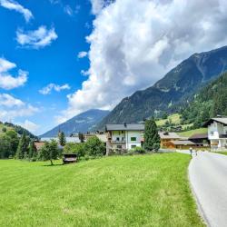 加舒恩 14家带泳池的酒店