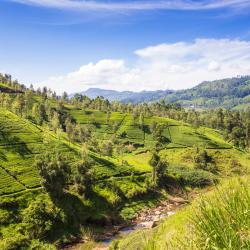 哈顿 6家度假村