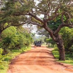 雅拉 41家带停车场的酒店