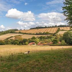 海维康 79家住宿