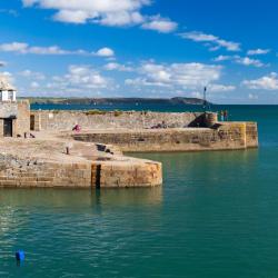 圣奥斯特尔 156家别墅