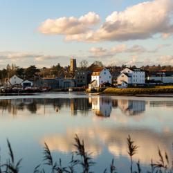 伍德布里奇 4家带泳池的酒店