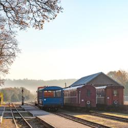 阿尼克什奇艾 77家住宿