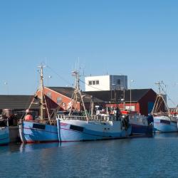 希茨海尔斯 127家带停车场的酒店