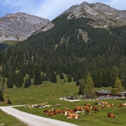 洛伊塔施 3家宾馆