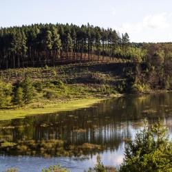 马格巴斯科鲁夫 4家木屋
