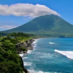 指宿市 5家宠物友好酒店