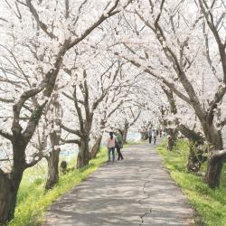 久留米市 10家自助式住宿