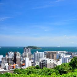横须贺市 14家公寓