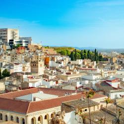 托尔托萨 14家乡村别墅