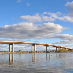 贝尔维尔 8家带泳池的酒店