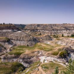德兰赫勒 40家带停车场的酒店