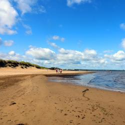 希迪亚克 8家住宿