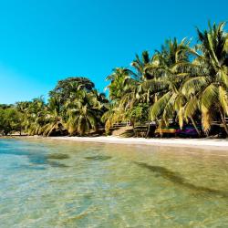 辛塞莱霍 21家宠物友好酒店