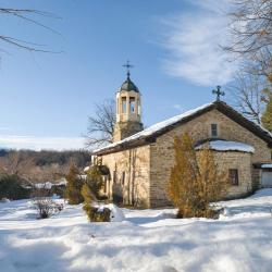 波兹思 6家带停车场的酒店