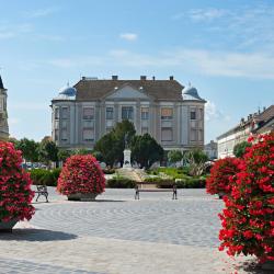 包姚 40家带停车场的酒店