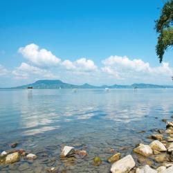 福纽德 144家带停车场的酒店