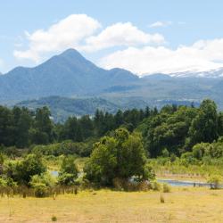 柯纳里佩 71家住宿