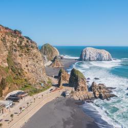 孔斯蒂图西翁 5家海滩酒店