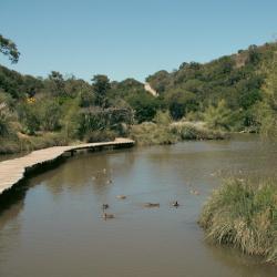 圣多明各 7家海滩酒店