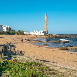何塞伊格纳西奥 34家带泳池的酒店
