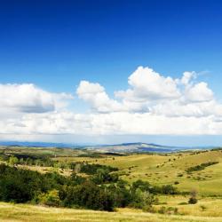 哈采格 4家带泳池的酒店