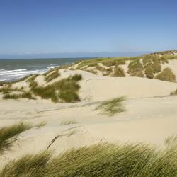 斯特拉海滩 36家带停车场的酒店