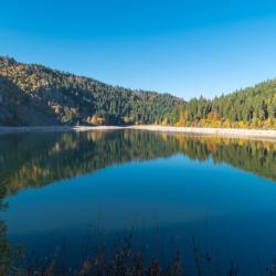 克松吕-隆日梅 157家住宿