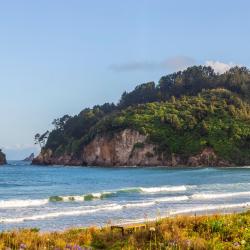 旺阿马塔 7家带泳池的酒店