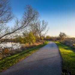 滑铁卢 19家带停车场的酒店