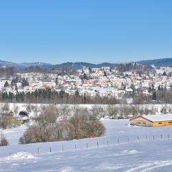 茨维泽尔 82家住宿