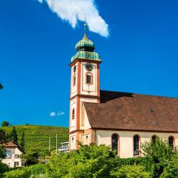 巴特贝林根 4家带泳池的酒店