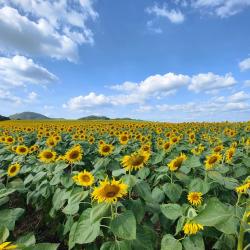 北冲 24家带泳池的酒店