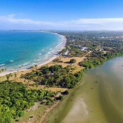 尼拉瓦利 14家宠物友好酒店