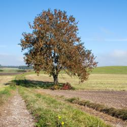 圣迈克尔斯 17家带停车场的酒店