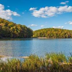 黑格斯敦 26家带停车场的酒店