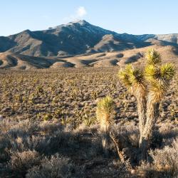 帕伦普 15家自助式住宿